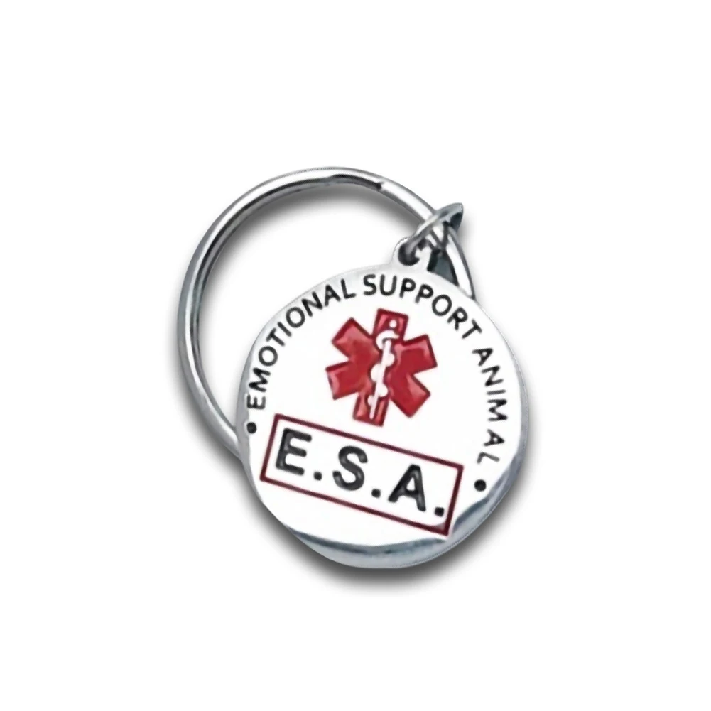 Personalized Dog & Cat Nameplate ID Tag – Double-Sided Engraved Pet Collar Accessory