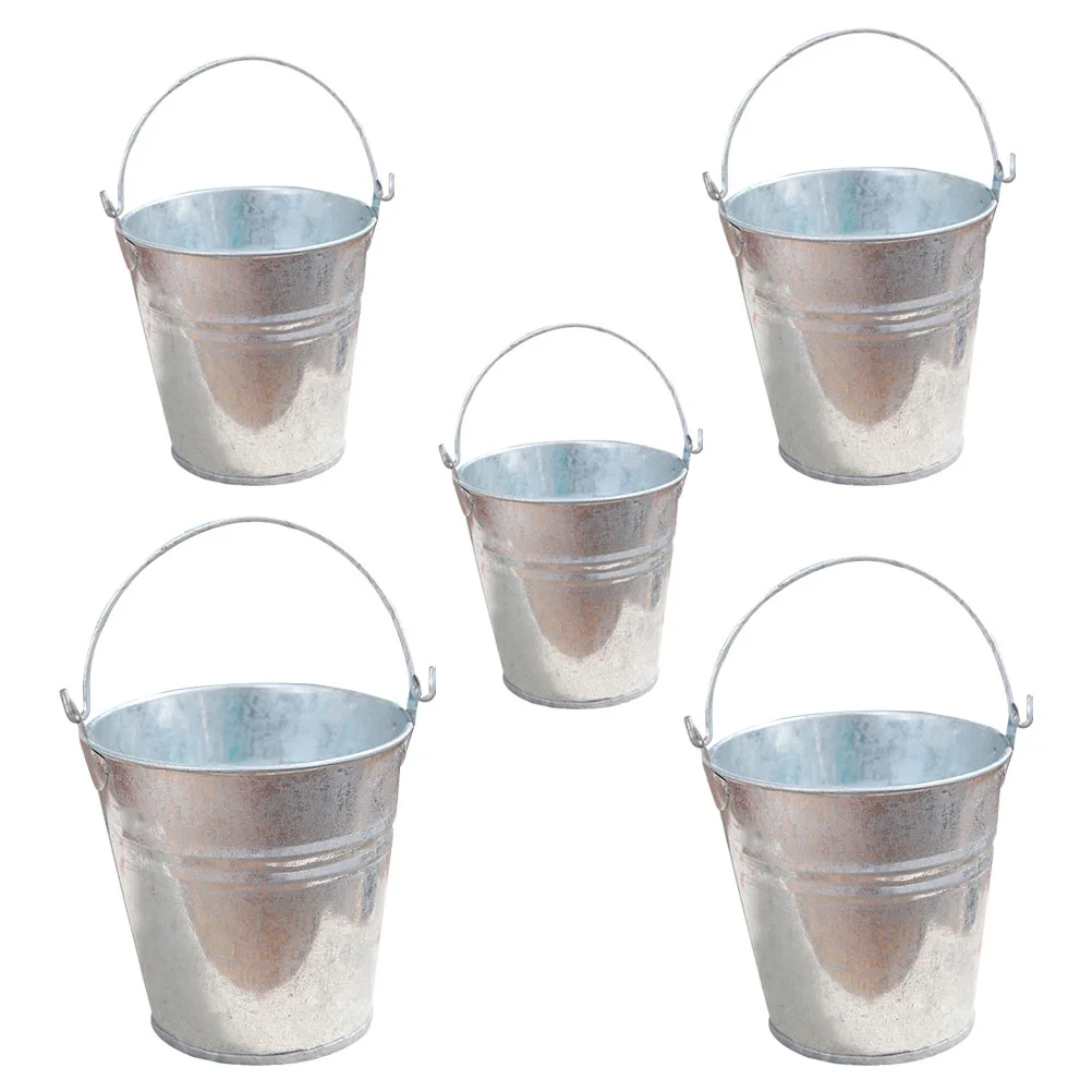 

5 Pcs Tin Bucket Indoor Plant Pots Desktop Mini Decorative Galvanized Iron Flower