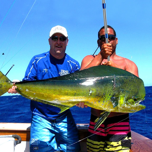 Fishing Gaff Saltwater Stainless Steel Telescoping Fish Gaff Non