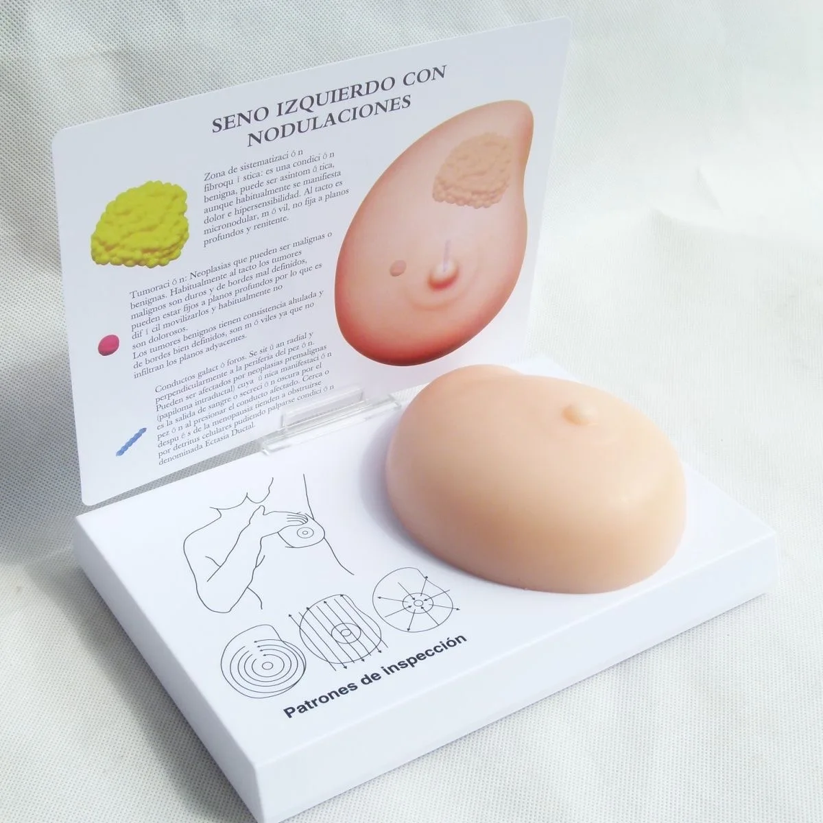 Breast Self-Exam Training Model 1