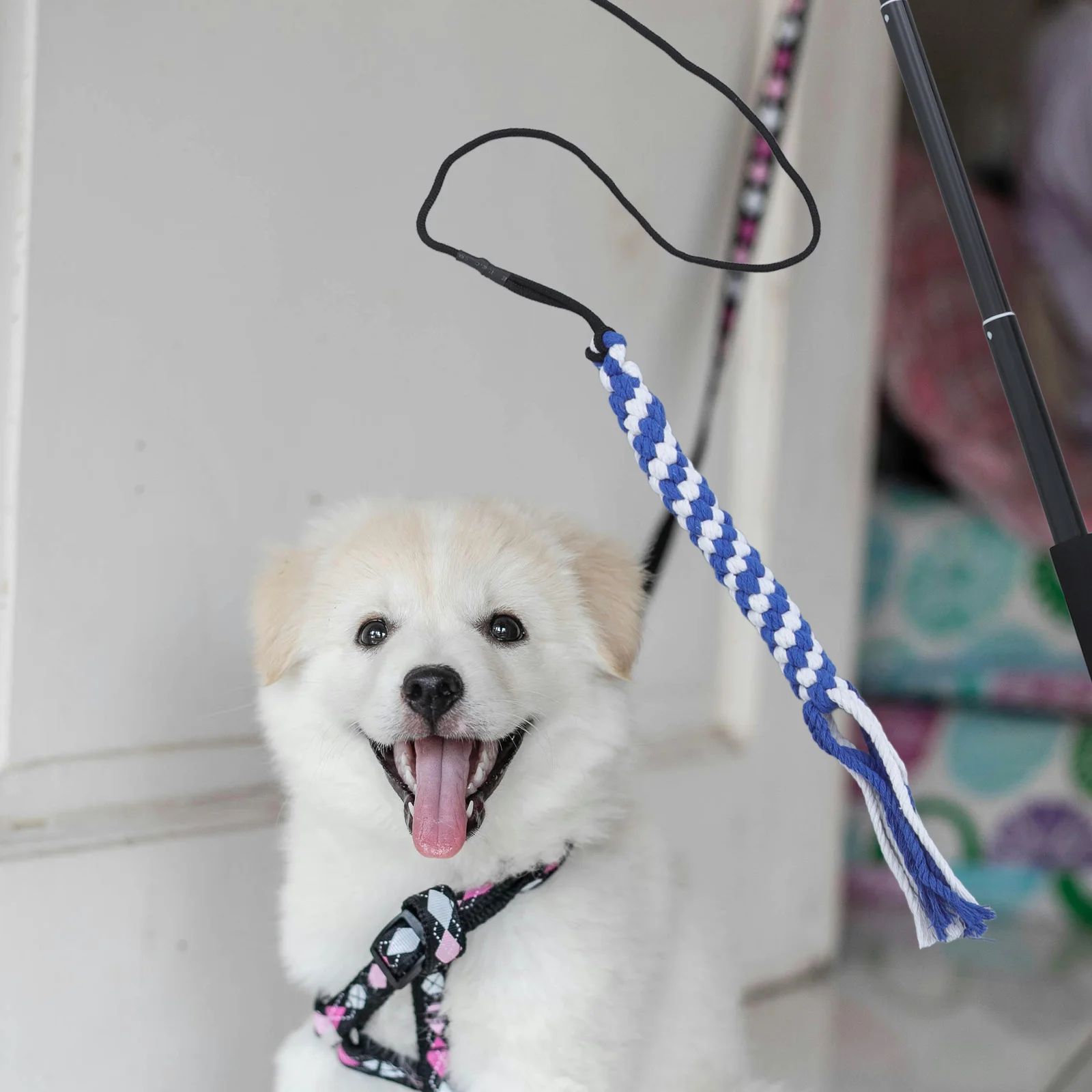 Extendable Collapsible Pole Dog Teaser Pet Training Toy Cotton