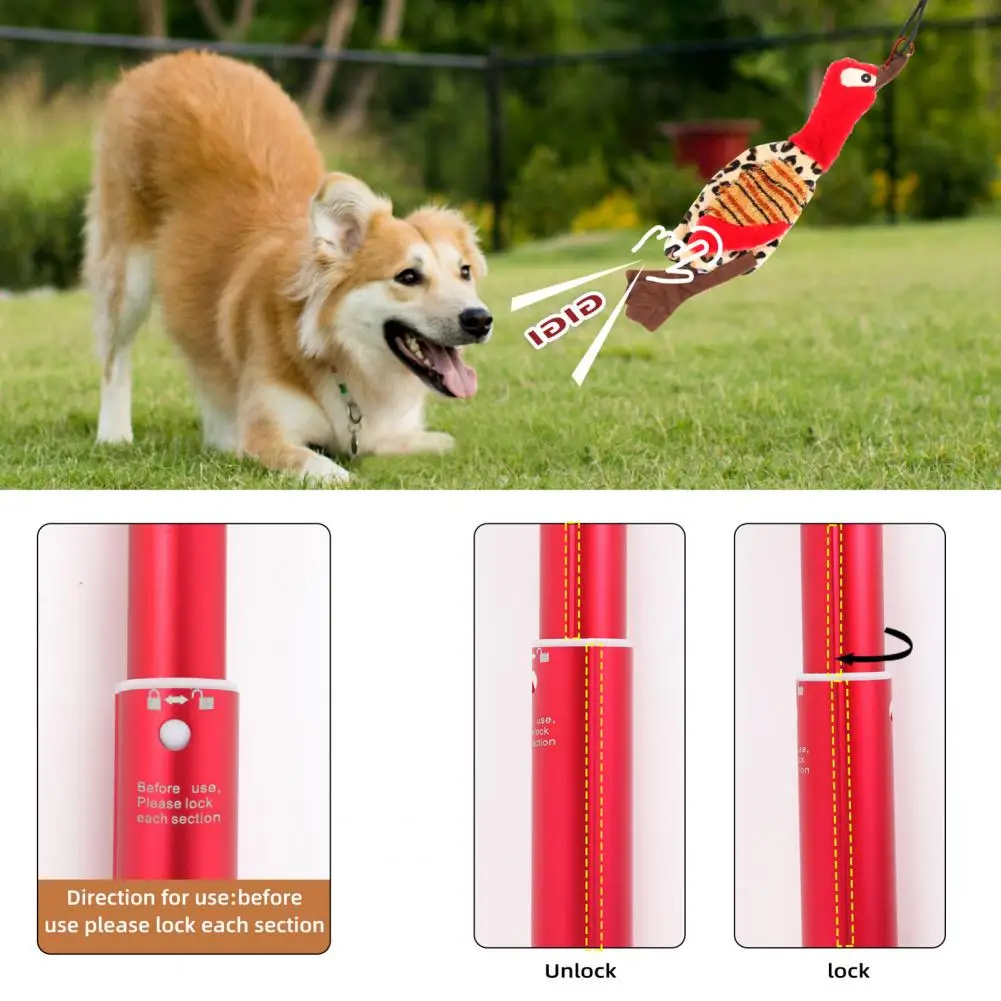 

1 Set Dog Flirt Pole Creative Dog Teaser Wand Pet Training Pole with Teeth Chewing Toy Dog Flirt Stick