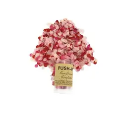 Vibrant Celebration Confetti Push Popper (B)