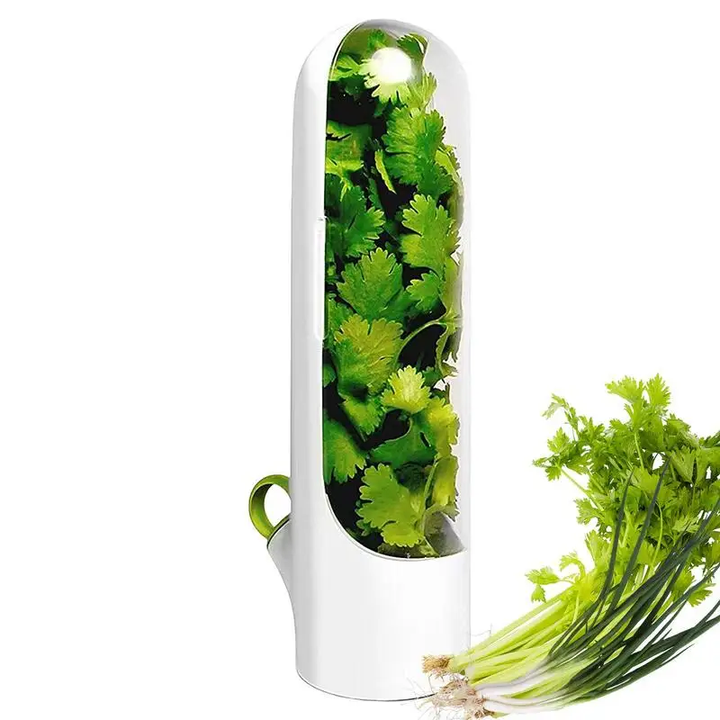 

Cilantro Storage Container For Fridge Transparent Preservation Bottle For Cilantro Mint Parsley Asparagus Keeps Greens Fresh