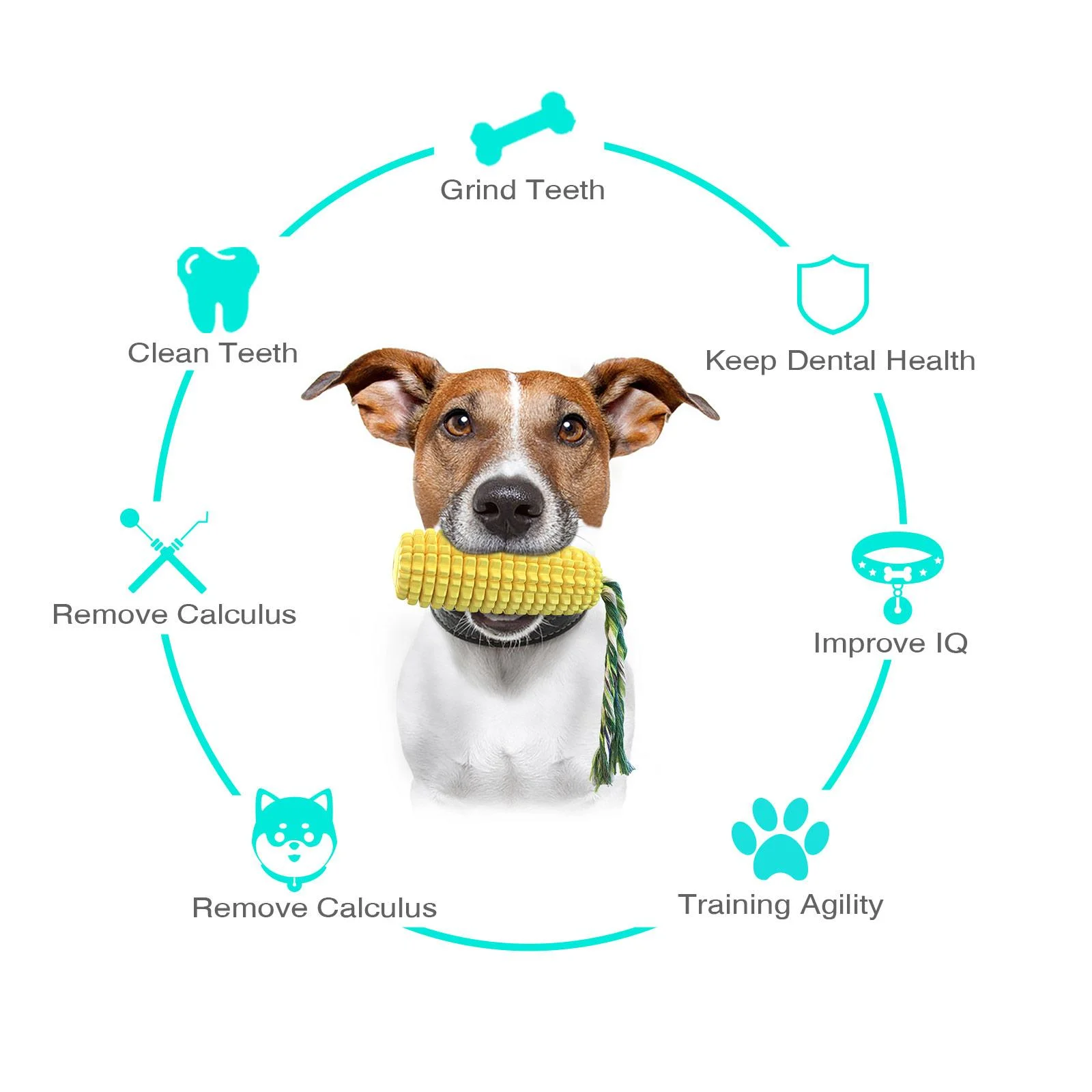 https://ae01.alicdn.com/kf/S1590fa90b82f4a999a1fc9dcf99cedeaN/Dog-Chew-Toys-Puppy-Toothbrush-Clean-Teeth-Interactive-Corn-Toys-Dog-Toys-Aggressive-Chewers-Meduium-Large.png