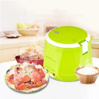 1.6L Mini Rice Cooker Heating Lunch Box Portable Constant Temperature Food Steamer Multifunction Pot For Car Truck 12/24V 2