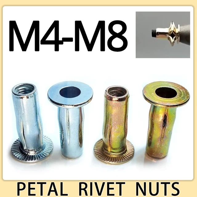 M4 M5 M6 M8 304 in acciaio inox petalo rivetti dado tirare rivetto bullone  tappo scanalato colore zincatura auto targa vite fissa - AliExpress