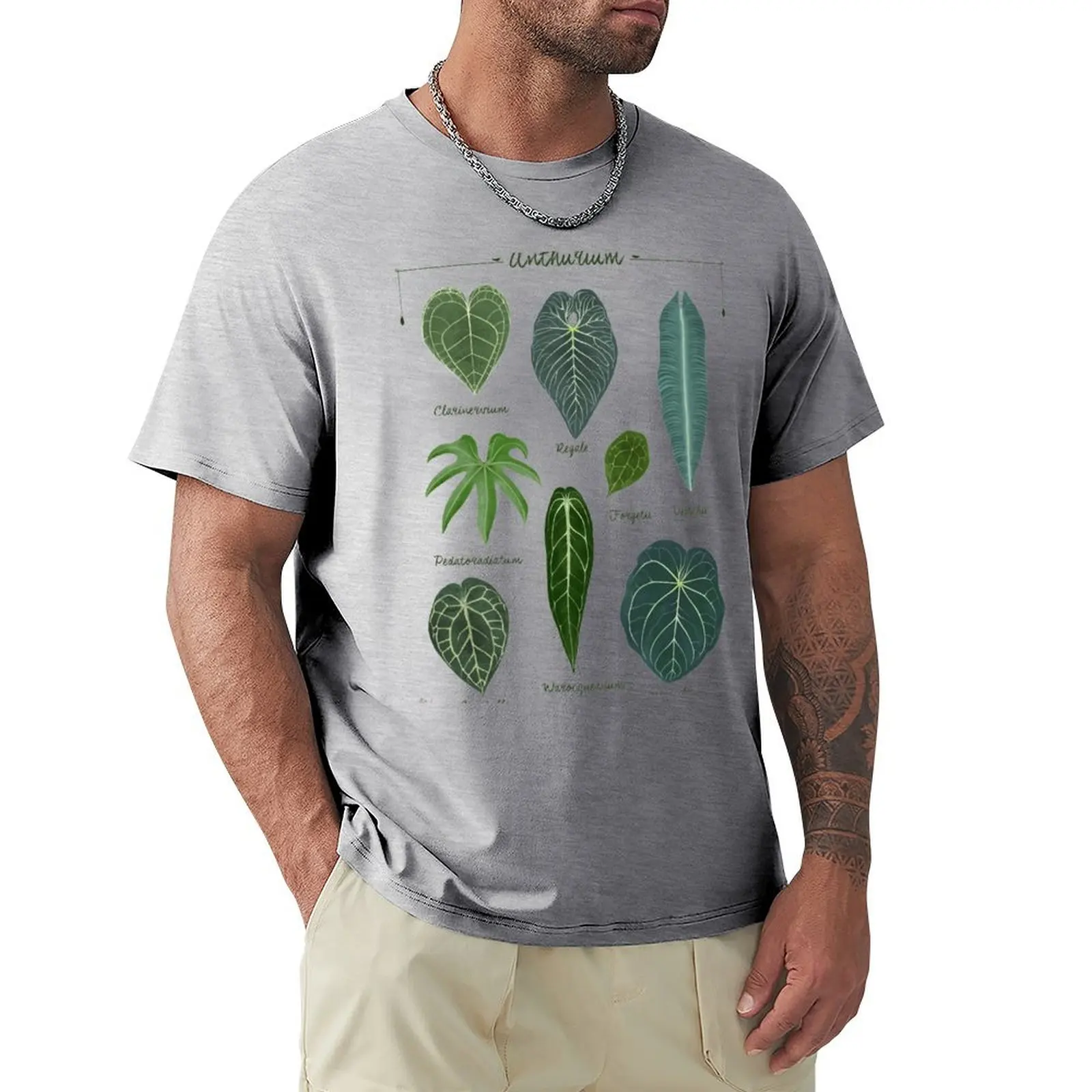 

Anthurium leaves species chart botanical illustration T-shirt Blouse anime oversized T-shirts for men cotton