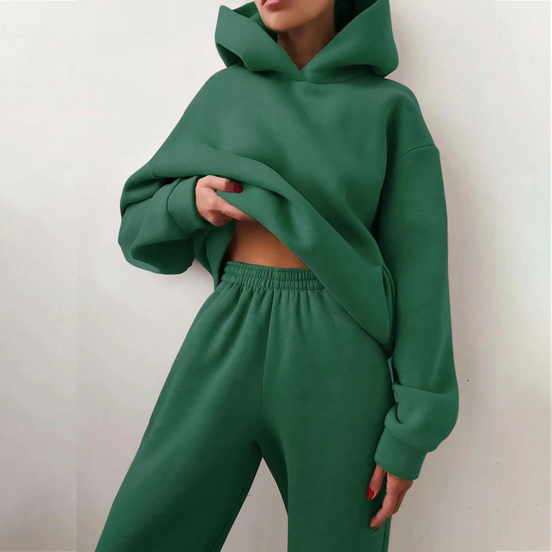 Fleece-lined Tracksuits Women Casual Solid Warm Suits Hoodies Sweatpants Autumn Winter Pullover Sweatshirts Pants 2 Piece Set women hoodies zaful fleece lined alaska graphic quarter zip 90s sweatshirt l deep blue