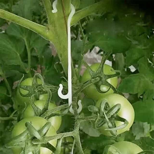 13 Cm -Es Növényi Tartó Horgok Paradicsomos J Horog Rácsos Kerti Zöldség Folt Gyümölcs Szőlő Rögzítő Klipek - Image 2