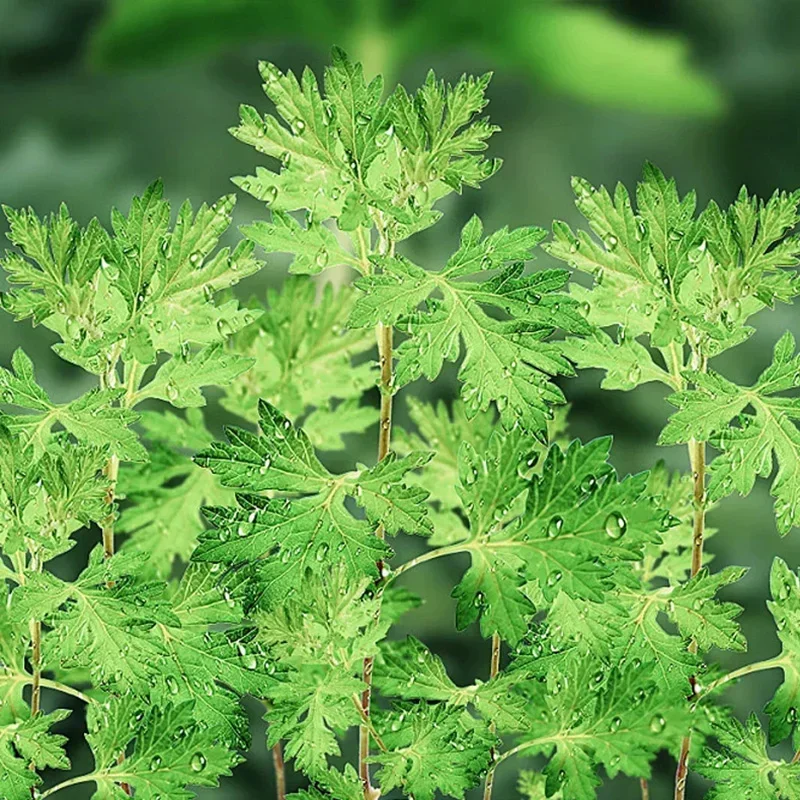 ���� ����Ƽ �ڼ� ���� �� ���, ���� ���� ��Ʈ ��ư �� ��Ʈ, �� ����, ���� �̺� ��