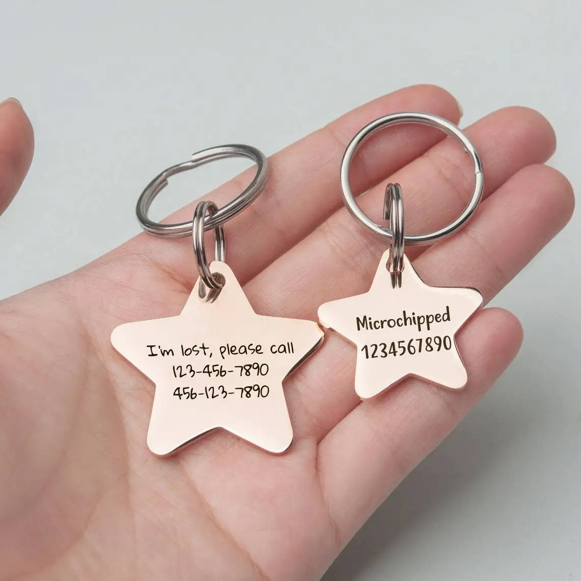 Pet ID Tags Personalized Engraved Cat Dog Anti-lost Collar Charm Engraving Pet Name Collar for Puppy Cats Accessories