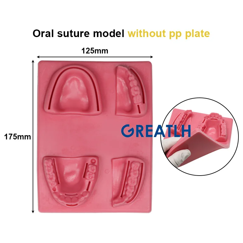 Dentist Teeth Oral Surgery Practice Model Periodontitis Suture Model Dental  Lab Tool - AliExpress