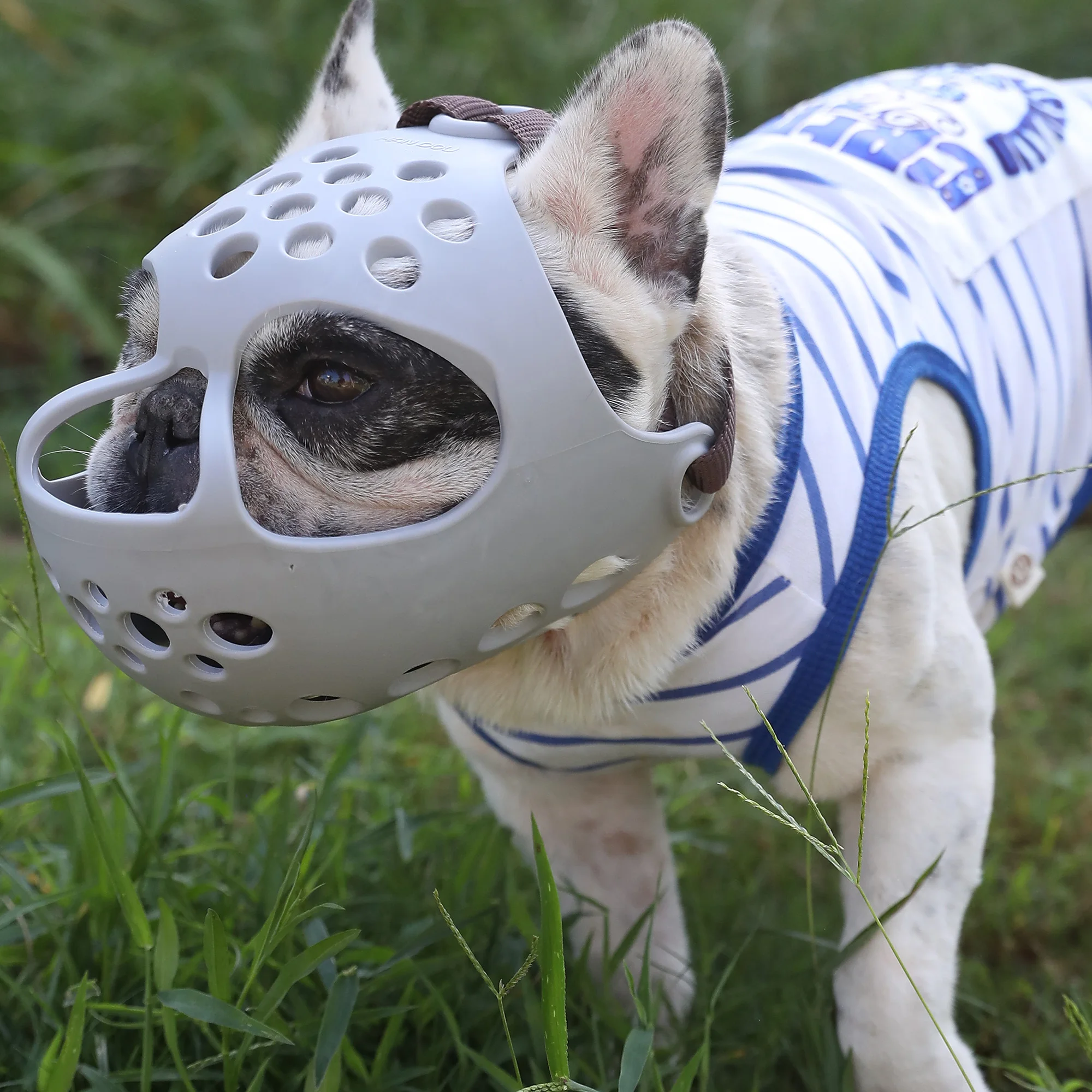 Dog Muzzle for Short Snout Dogs Breathable Holes Prevent Biting Chewing Mesh Muzzle Size S/ M/L/XL dog muzzle
