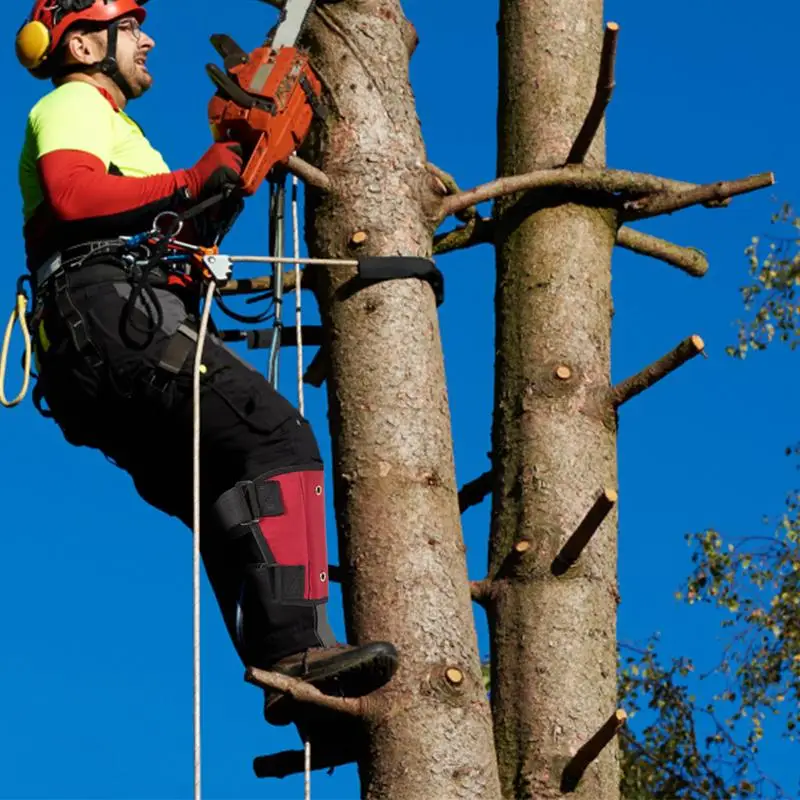 Pointes D'escalade Pour Arbres – Ensemble D'équipement D'escalade Pour Poteaux, Pointes D'escalade Réglables | Outils D'arboriculture, Matériel