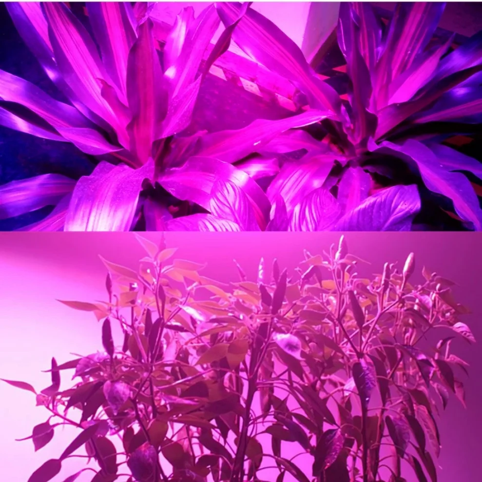 LED 램프 칩, COB 칩, 드라이버 필요 없음, 스포트라이트, 풀 스펙트럼, DIY 꽃 조명, 220V, 20W, 30W, 50W