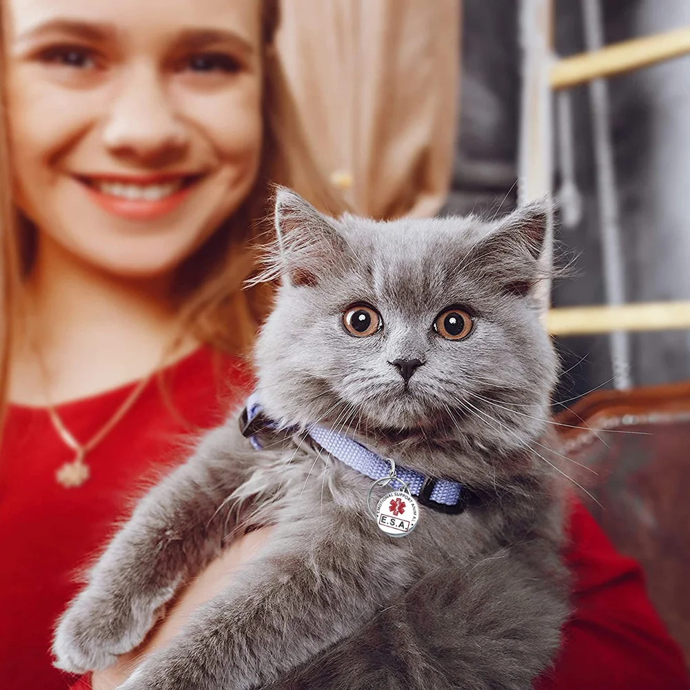 Personalized Dog & Cat Nameplate ID Tag – Double-Sided Engraved Pet Collar Accessory