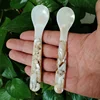 2PCS Natural Yellow Pearl Oyster Shell Dish Polished Shell Handmade Creative DIY Jewelry Beads Decorative Caviar Container 5