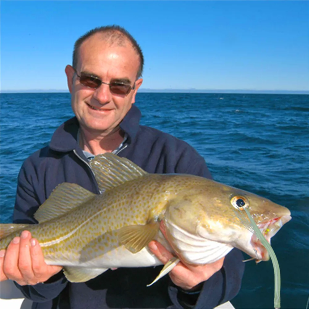 14/28/38PCS 장어 낚시 후크 스트라이프베이스는 해양 트롤링 빅 게임 낚시를위한 긴 생크 스테인레스 스틸 오프셋 후크를 미끼