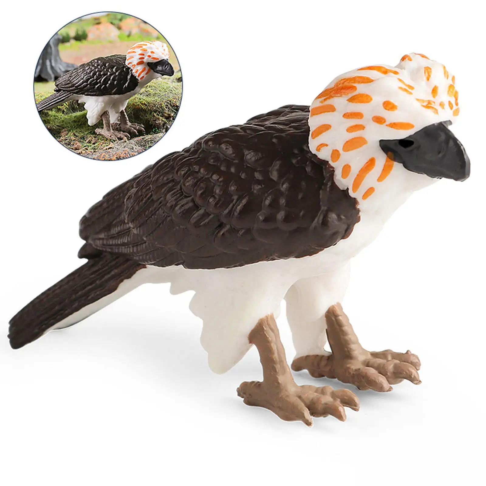 

Philippine Eagle Toy Figure Collection Monkey Eating Eagle Wildlife Animal for Party Favors Teaching Ornament Learning Prop