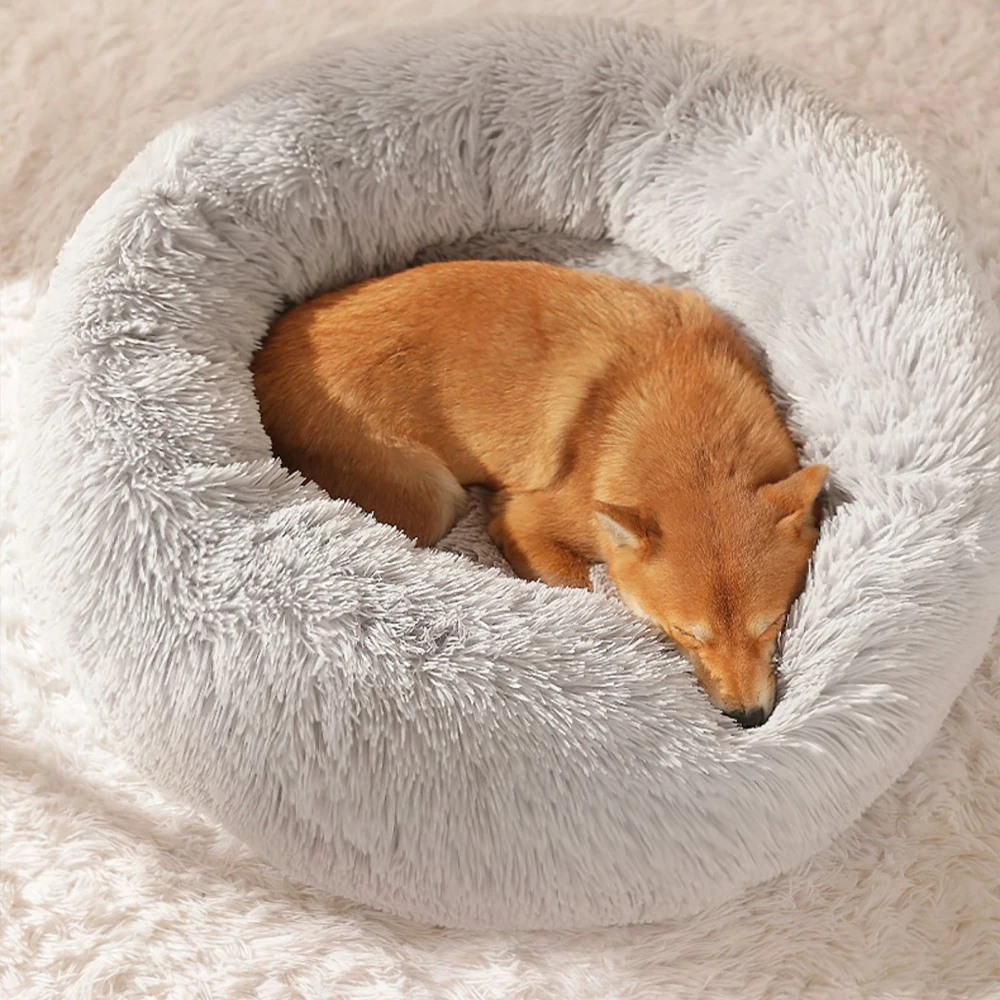 177521-57ab1e.jpg