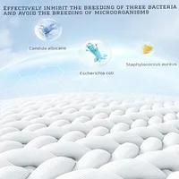 Ultra Soft Micro Fleece Fitted Sheets with Extra Deep Pockets Velvet Plush Cozy Warmth Bed Cover Queen King Size Bedspread Decor 2