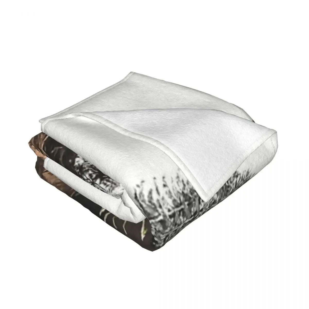 ���� ���� ������ ��� ħ�� �� ħ�뺸, �β��� ���