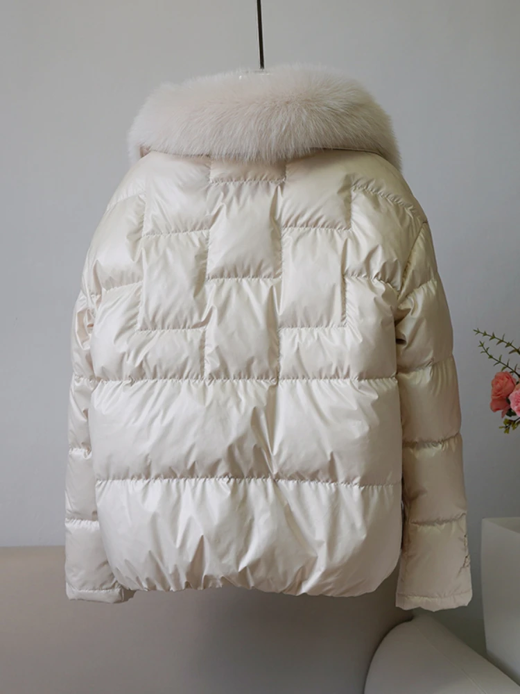 õ�� ���� ���� ���� Į�� 90% �� �ٿ� ��Ʈ, ��Ʈ������ ��ũ ���, �β��� �� �ٿ� ��Ŷ, �Ż� �м�, �ܿ�