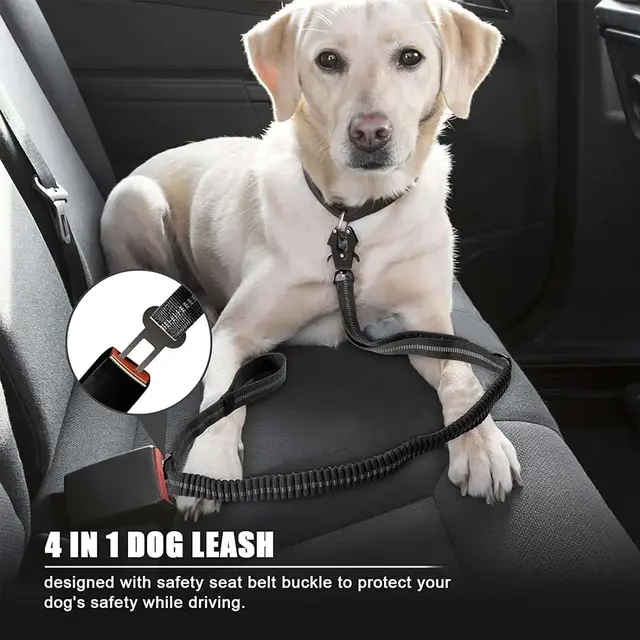 Reflective Shock Absorbing Pet Dog Leash with Car Seatbelt for Large Dogs Heavy Duty Tactical Bungee Dog Leash No Pull Dog Leash 3