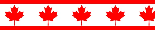 DUWES 50yards Canada Japan UK Korea Flag Printed Grosgrain Ribbon Accessories Material Decoration DIY Sewing Craft D1896