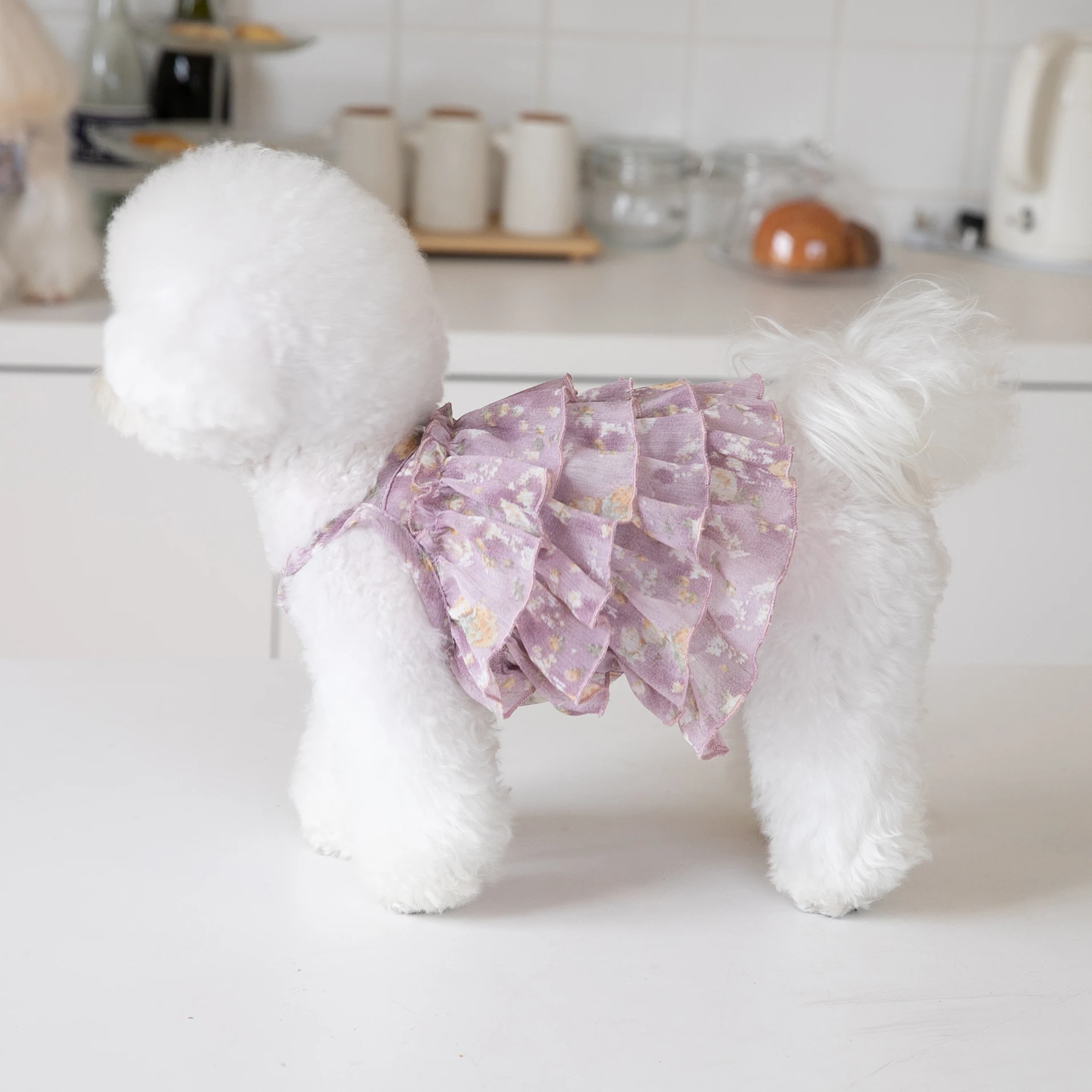 MISTREASS Poodle Fur Ribbon Shortblouson