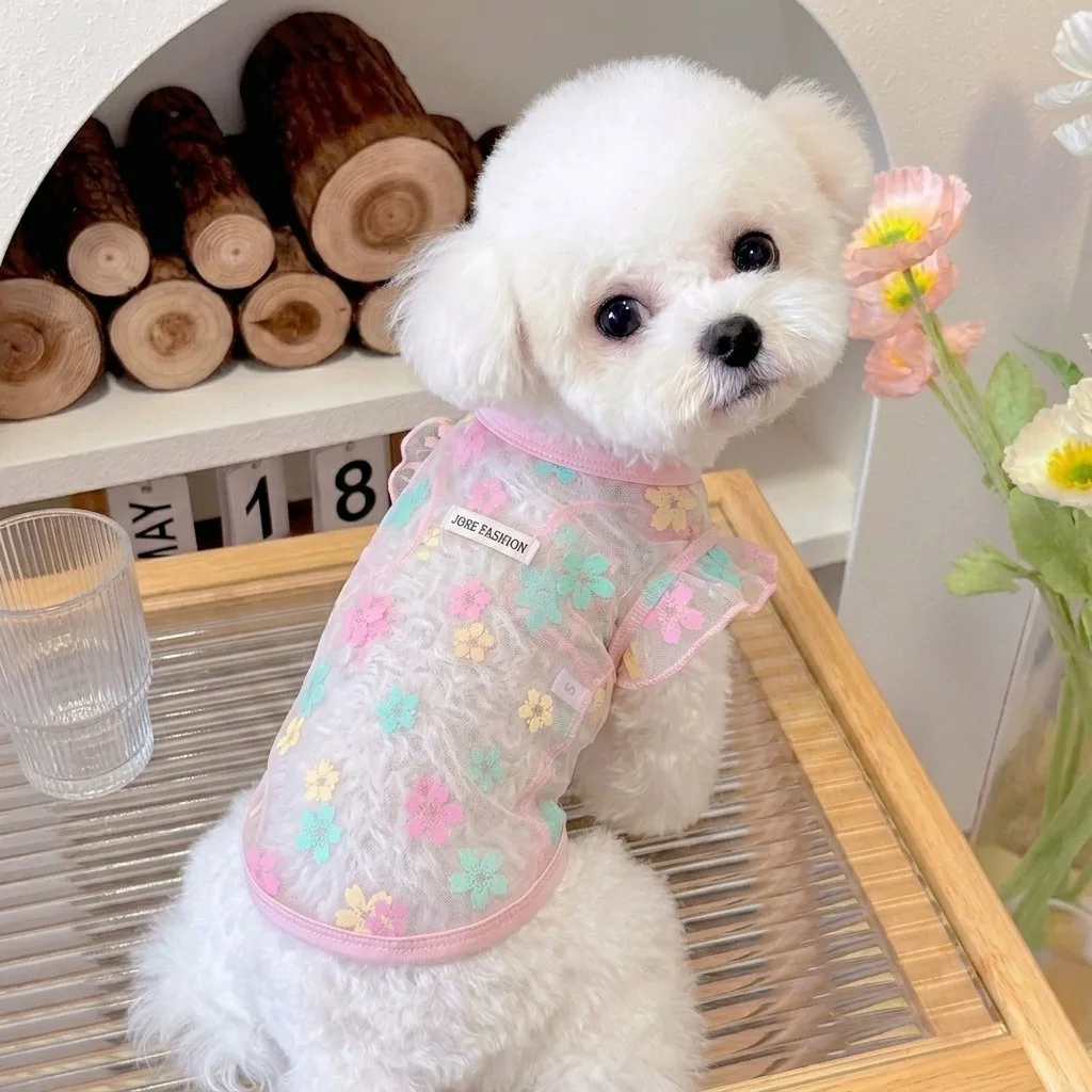 통기성 메쉬 강아지 옷, 자외선 차단 애완견 조끼, 귀여운 프린트 테디 티셔츠, 야외 모기 방지 비숑 풀오버