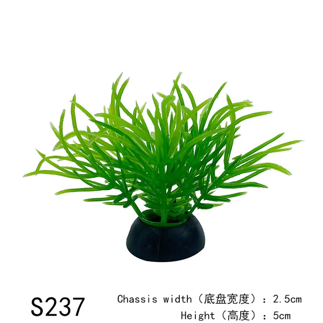 Image 37