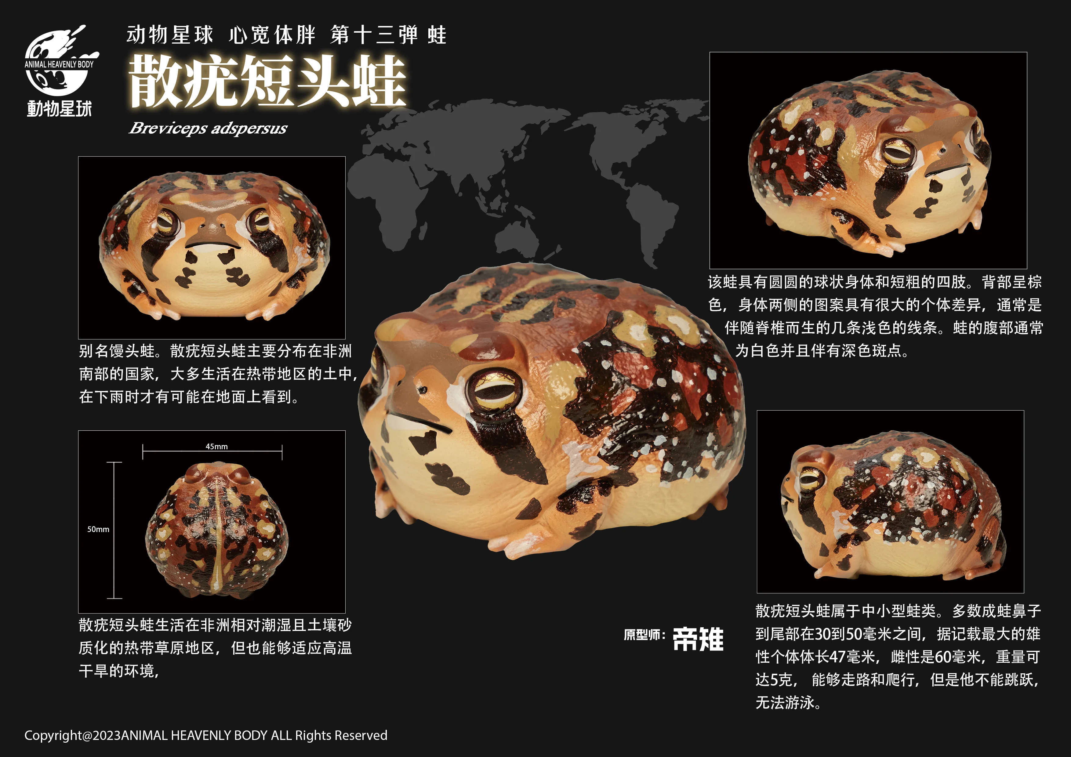 Spot Animal Planet Heart Wide Body Fat Series 13th Bullet Horned