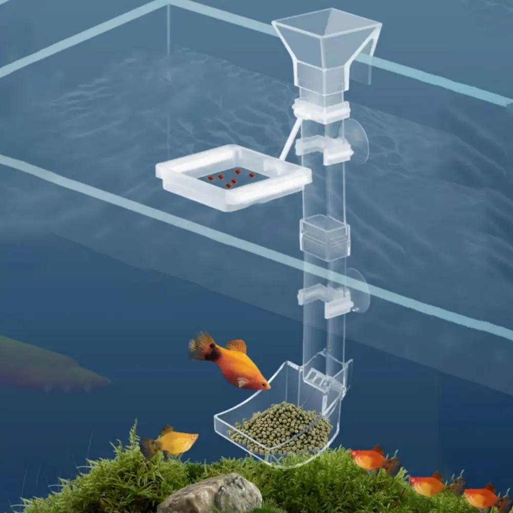 Transparent Fish Tank Feeding Tube Wall-mounted Acrylic Fish Feeding Basin with Suction Cup Fish Tank Feeding Ring