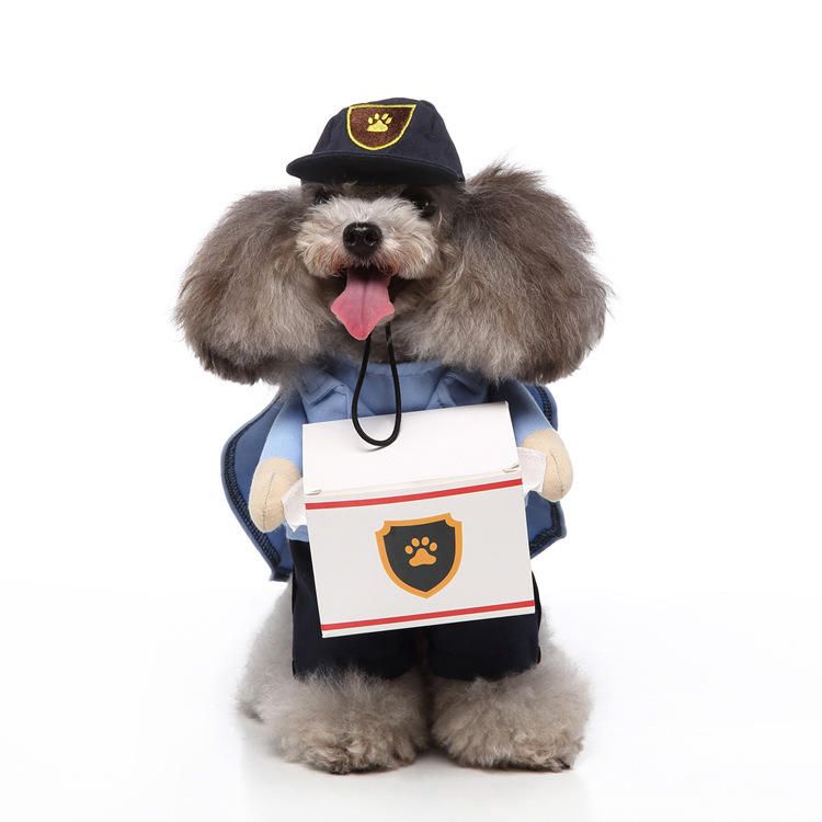 Costume blanc USPS pour chiens