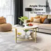 Coffee Table, Small Round Coffee Table with Faux Marble Top and Glass Storage Shelf, 2-Tier Circle Center Table for Living Room 1