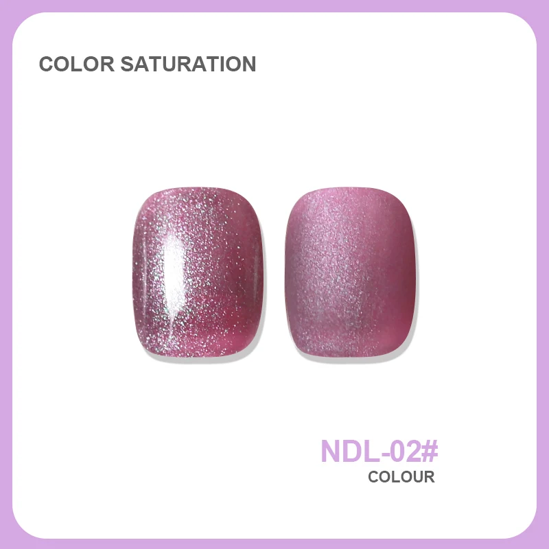 NDL 2