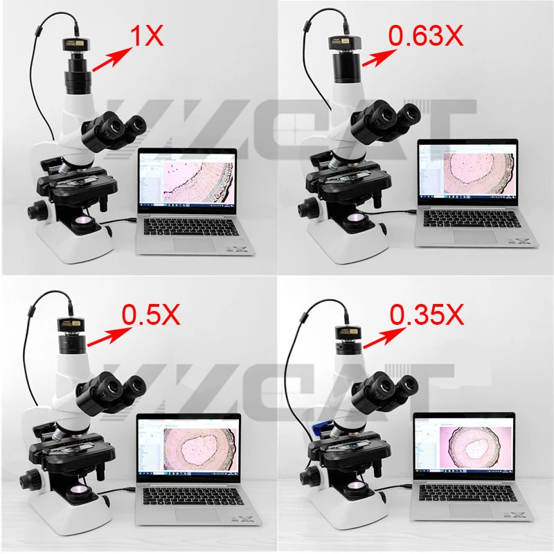 1X 0.35X 0.5X 0.63X Focusable Microscope C mount Adapter Trinocular Reduce Lens CCD Camera Adapter for Olympus Microscope 6