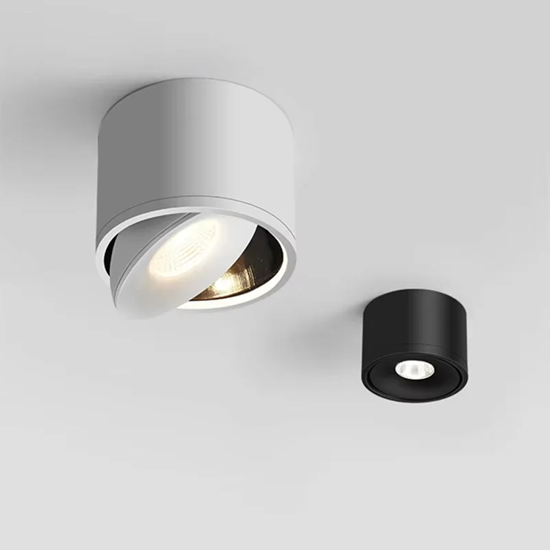 Modern Black LED Ceiling Light with Dimmable Rotatable Spot Light