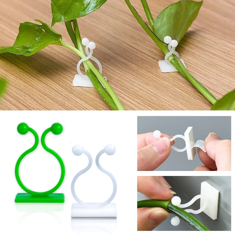 Selbstklebende Pflanzenkletterwand-Halterung: Befestigungshaken für Ranken, Gartenpflanzen-Wandkletterclips