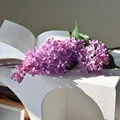 Light Purple