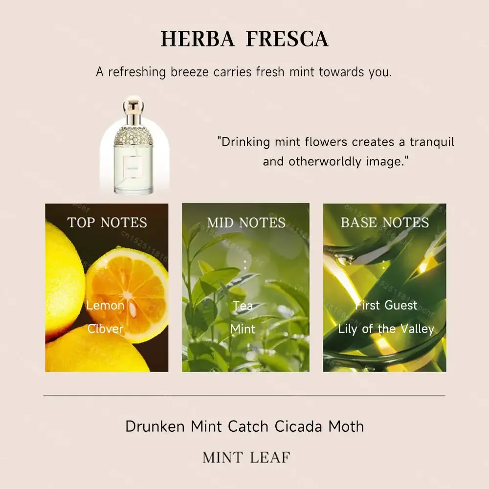 HERBA FRESCA