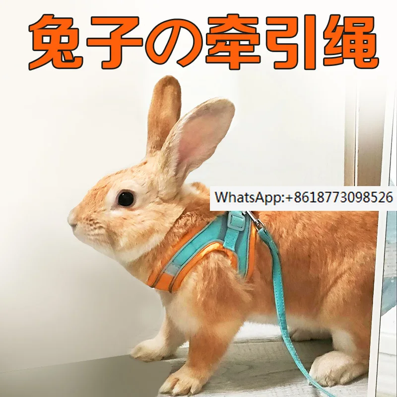 

Rabbit traction rope, adjustable anti pulling and anti loosening rabbit rope, special anti biting and cute style for going out