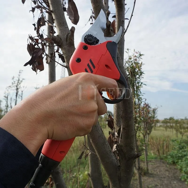 Pruning Tools Electrical