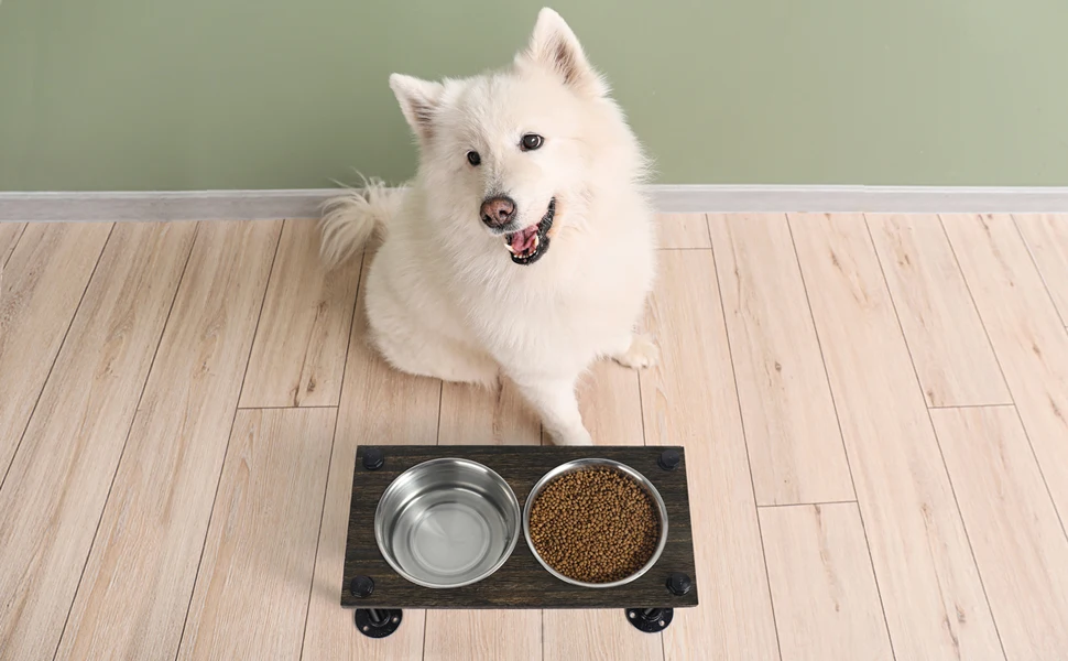 Elevated Dog Bowls for Large Dogs