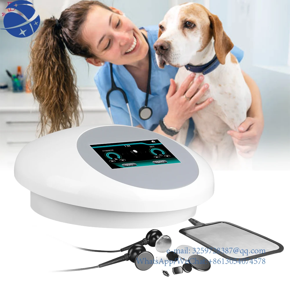 

YYHC лошадь для собак и кошек Cet Indiba Vet Tecar, терапия, физиотерапия, лифтинг лица, облегчение боли, детоксикация тела, реабилитация домашних животных, оборудование