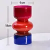 Nordic Creative Personality Retro Glass Vase, Hydroponic Plant, Table Vase, DIY Flower Arrangement Container, New 5