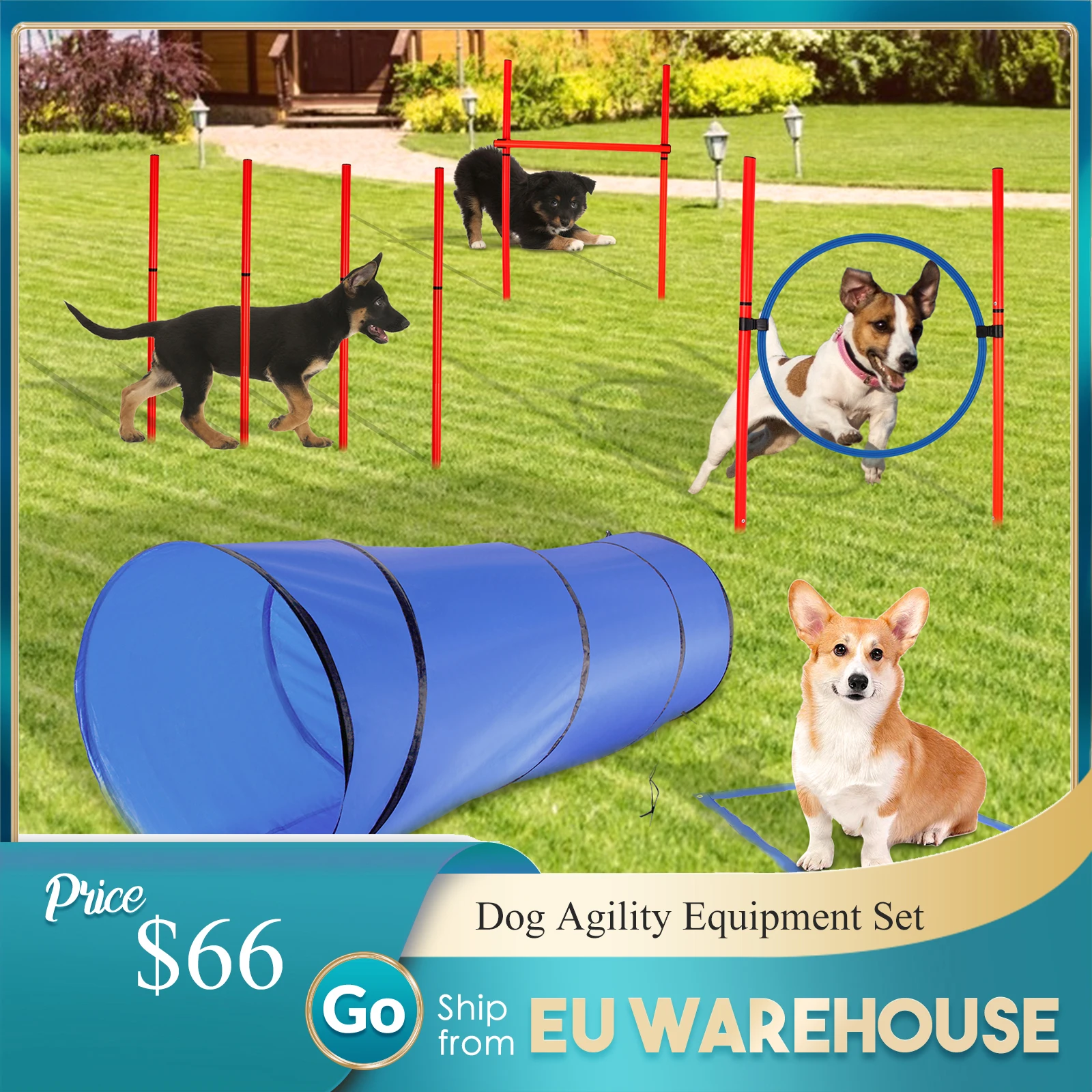 How High Are The Jumps In Dog Agility