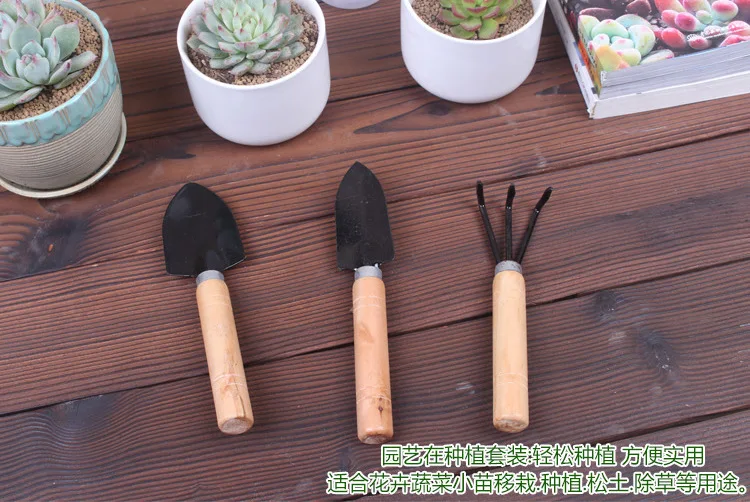 Handpflanzgefäß Mit Holzstiel – Pflanzkelle/Spaten Für Garten, Zwiebeln, Samen